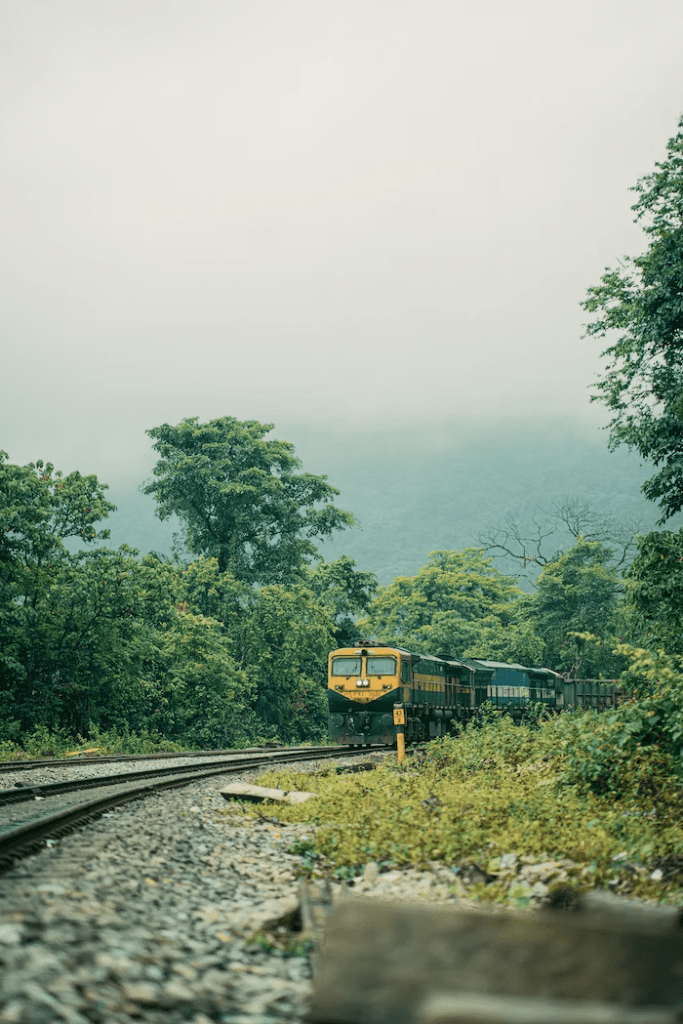 भारतीय रेलवे पर 10 दर्शनीय मार्ग 6